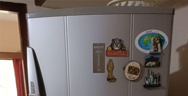 Refrigerator Noise Issue Repair (Double Door Non-Inverter Fridge)