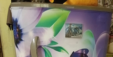 Refrigerator Power Problems (Double Door Inverter Fridge)